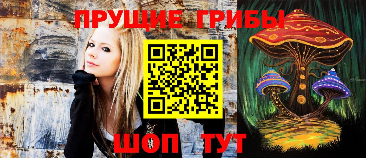 Псилоцибиновые грибы ЛСД  где можно купить   Галлюциногенные грибы мицелий  Артёмовский  Вход с VPN 
